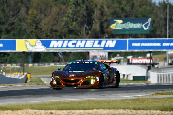 IMSA WeatherTech SportsCar Championship
Motul Petit Le Mans
Road Atlanta, Braselton GA
Thursday 5 October 2017
86, Acura, Acura NSX, GTD, Oswaldo Negri Jr., Jeff Segal, Tom Dyer
World Copyright: Richard Dole
LAT Images
ref: Digital Image RDPLM040